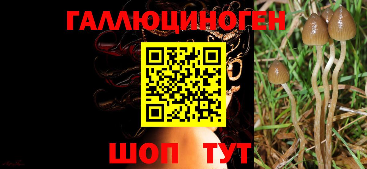 Галлюциногенные грибы мицелий  Вход с VPN  Добрянка 